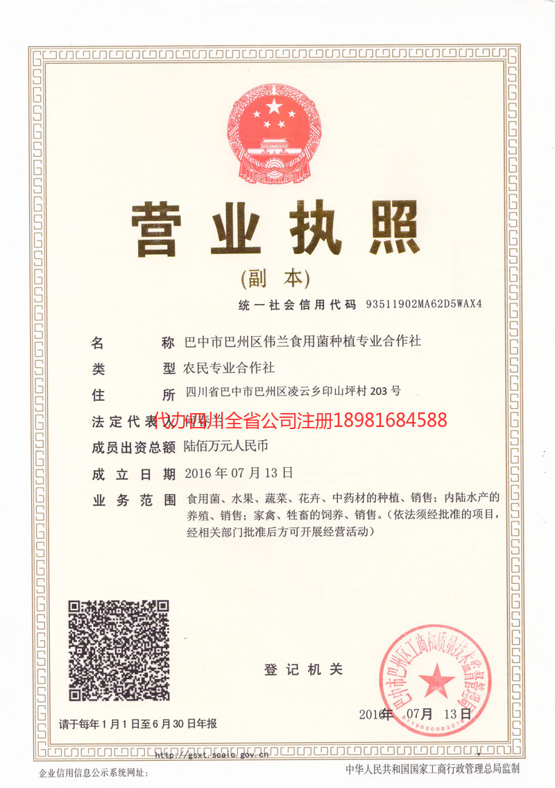 曲靖曲靖伟兰食用菌种植专业合作社